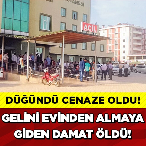 Gelin Evi Damadın Sonu Oldu! galerisi resim 1