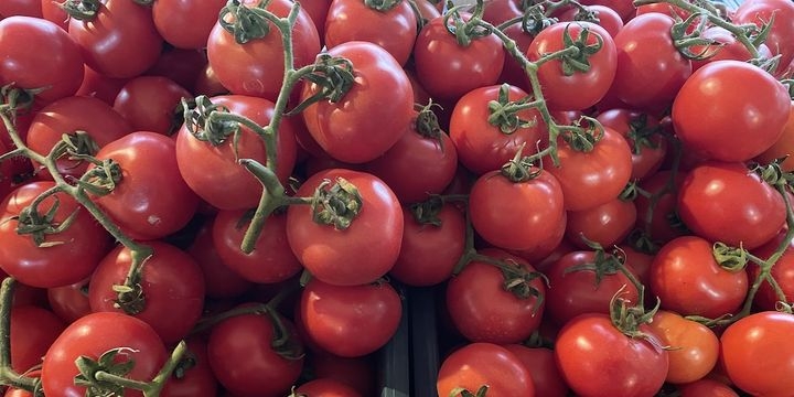 Domatesin bütün faydasını yok ediyor Bu alışkanlıktan vazgeçin galerisi resim 3