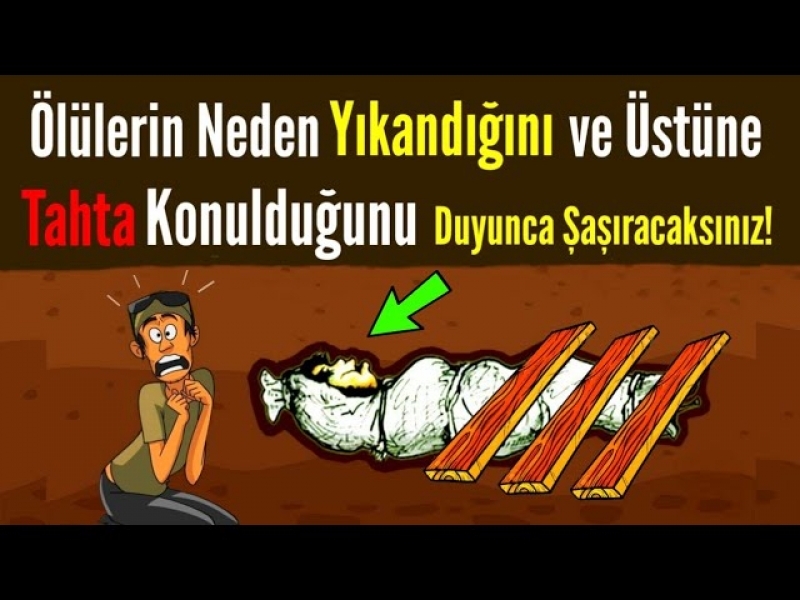 Neden tahta koyulur? galerisi resim 2