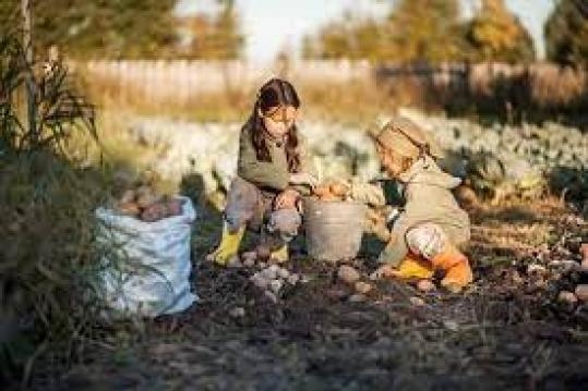 Yaşanmış gerçek bir hikaye galerisi resim 4