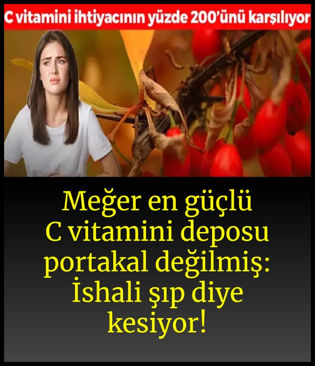 Meğer en güçlü C vitamini deposu oymuş galerisi resim 1