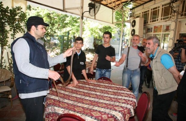 İzmir'in Göbeğinde Yılan Paniği galerisi resim 2