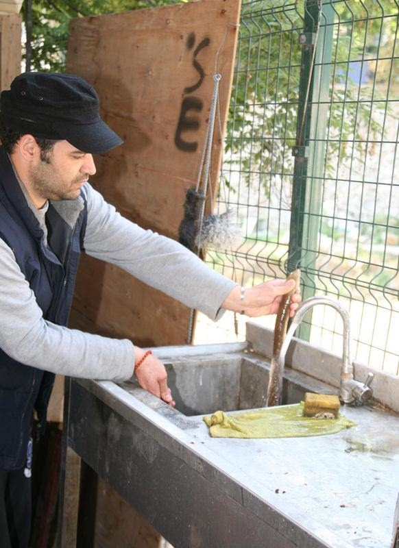 İzmir'in Göbeğinde Yılan Paniği galerisi resim 7