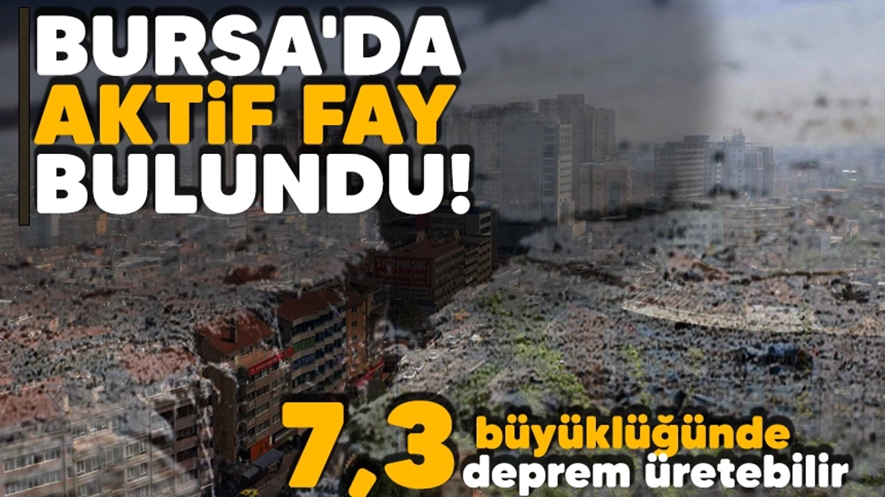 Bursa'da aktif fay bulundu! galerisi resim 2