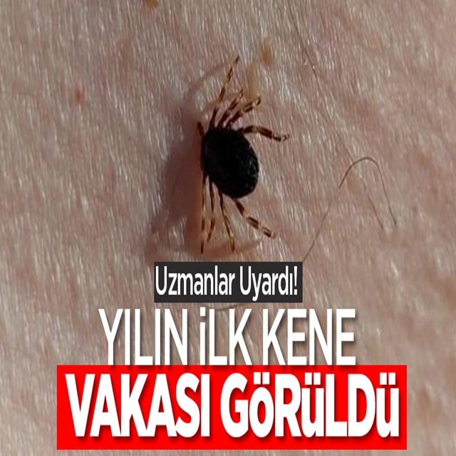 Yılın ilk vakası galerisi resim 2