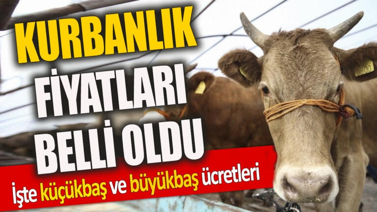 Kurbanlık fiyatları belli oldu galerisi resim 1