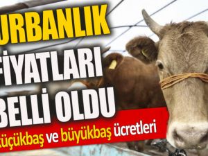 Kurbanlık fiyatları belli oldu