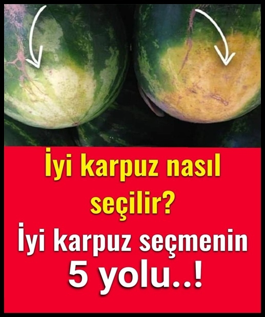 İyi karpuz nasıl seçilir? İyi karpuz seçmenin 5 yolu! galerisi resim 1