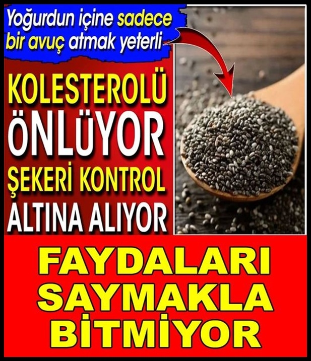 FAYDALARI SAYMAKLA BİTMİYOR galerisi resim 1