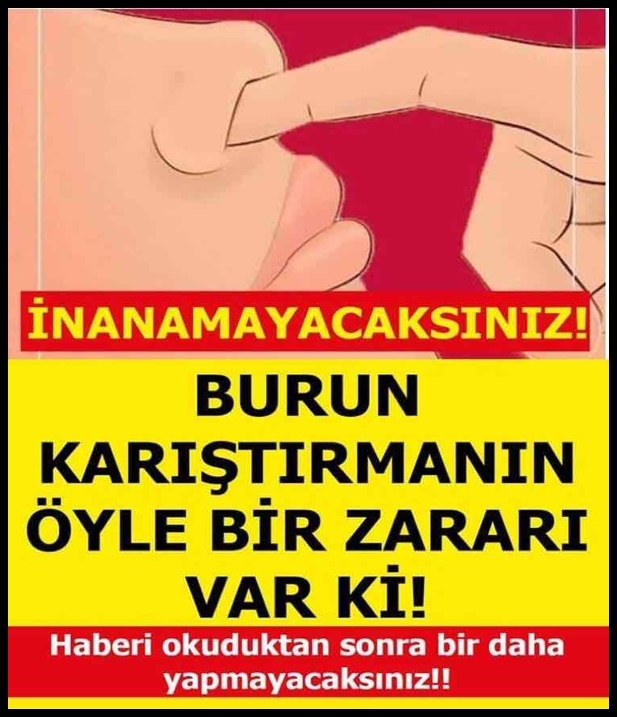 BURNUNU KARIŞTIRANLAR galerisi resim 1