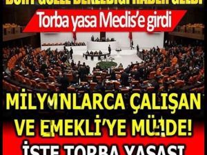 Milyonlarca vatandaşın merakla beklediği torba yasa