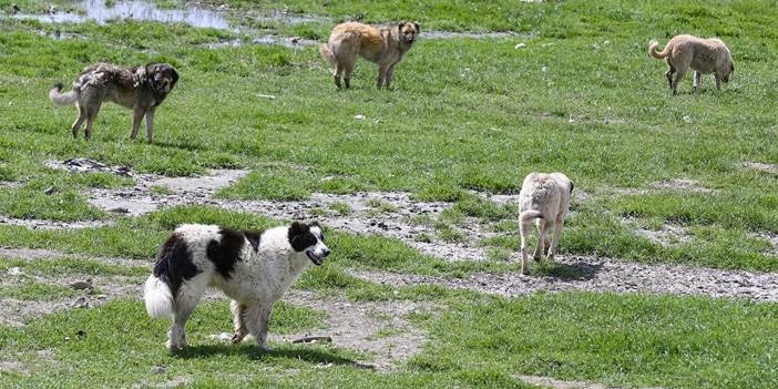 Üzen haber geldi. galerisi resim 2