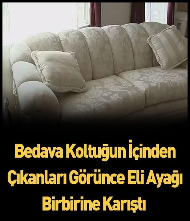 Bedava aldığı koltuğun içinden öyle bir şey çıktı ki, bütün hayatı değiş galerisi resim 1