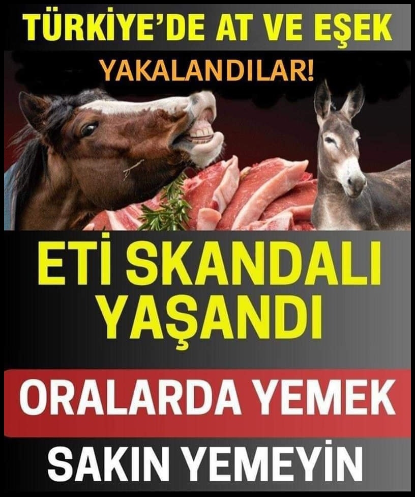 Bu firmaların at ve eşşek eti yedirildiği tespit edildi galerisi resim 1