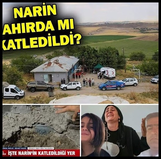 Narin’e kıyılan yer galerisi resim 1