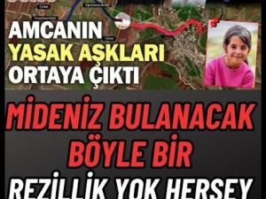 İşte Amcanın Y-asak Aşkları