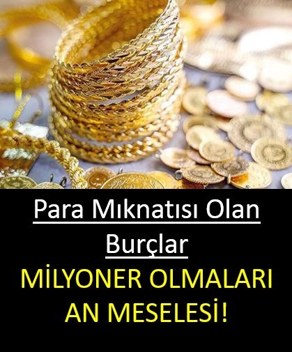 Para mıknatısı olan o burçlar galerisi resim 1