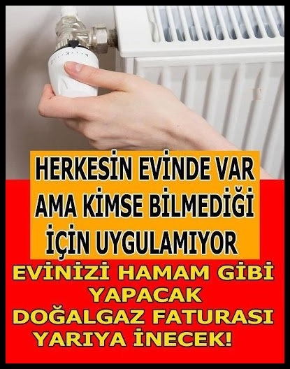 Herkesin Evinde Var Ama Kimse Bilmiyor. galerisi resim 1