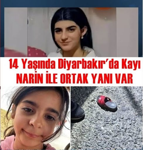 Diyarbakırda bir  Kayıp Daha galerisi resim 1