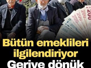 Geriye dönük ödeme