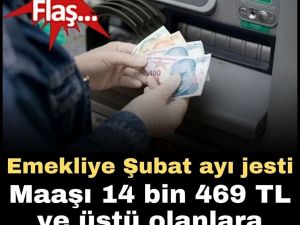 Şubat Ayı Jesti