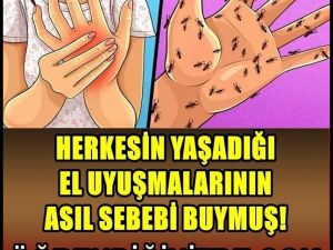 El Uyuşmasının Asıl Sebebi