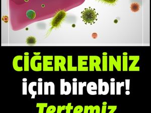 Ciğerleriniz İçin Birebir Tertemiz Yapıyor