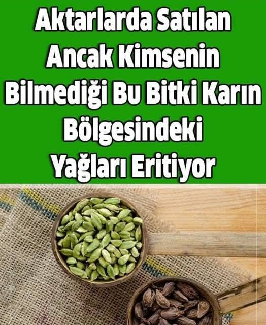 Bu Bitki Karın Bölgesindeki Yağları Eritiyor galerisi resim 1