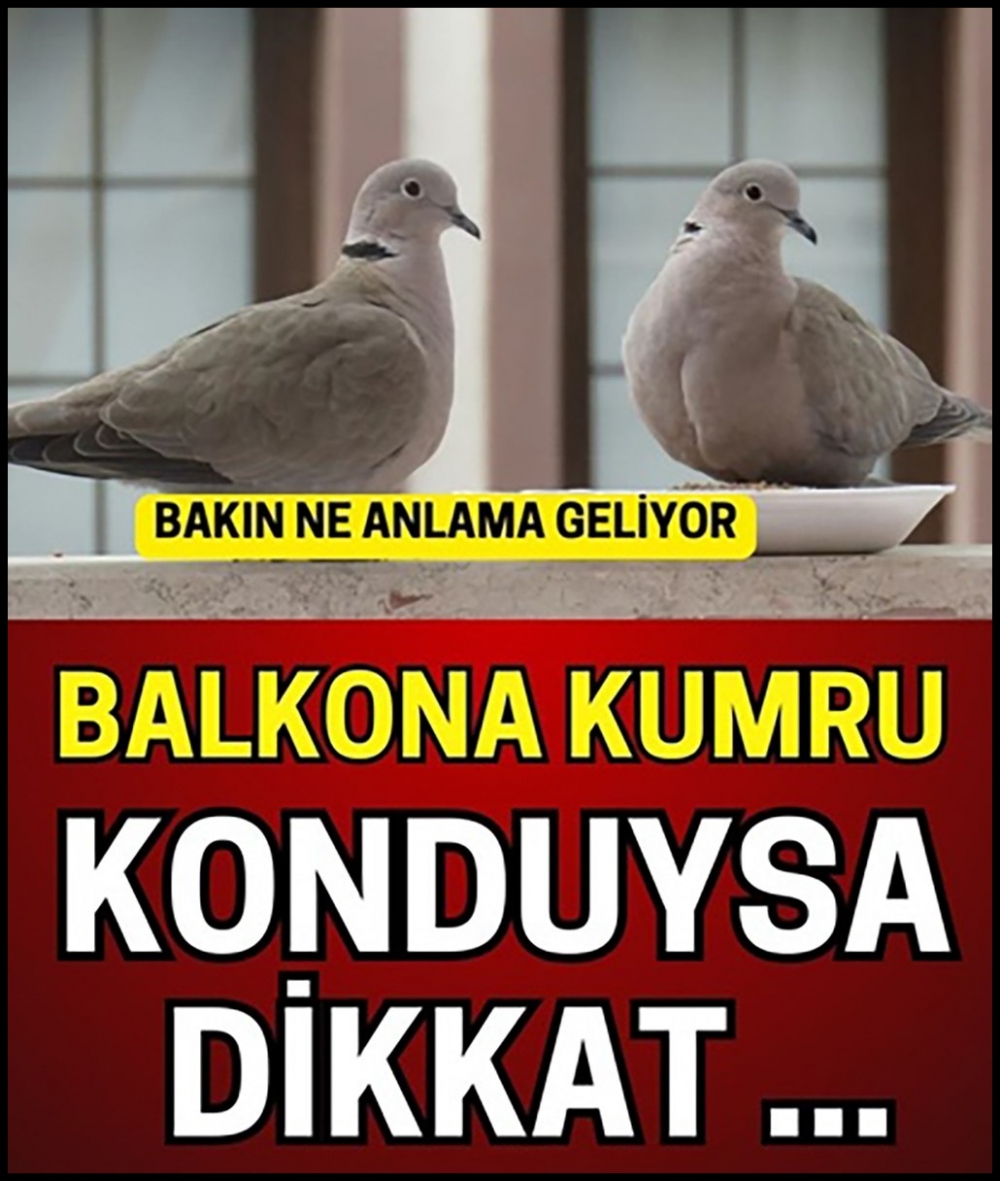 Bakın Ne Anlama Geliyor galerisi resim 1