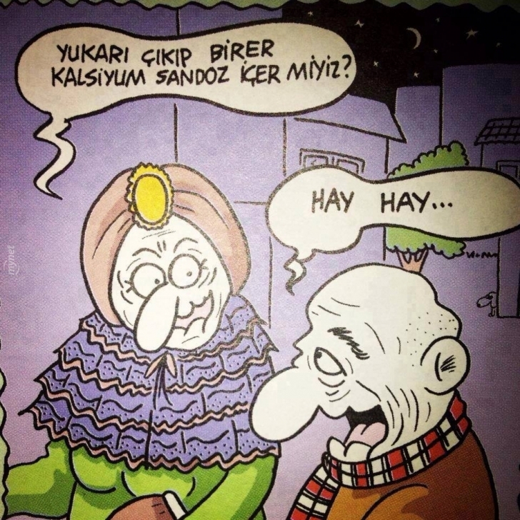 Evlenenlerin “Ayyy Aynı Bizim Gibi” Diyeceği 22 Komik Karikatür galerisi resim 22