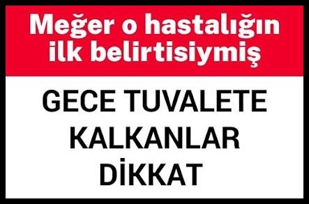 Gece Tuvalete KaIkanlar Di!kkat! galerisi resim 1