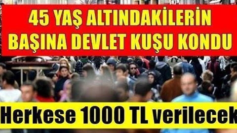 Devlet 45 yaş altı herkese bin lira verecek işte şartlar galerisi resim 1