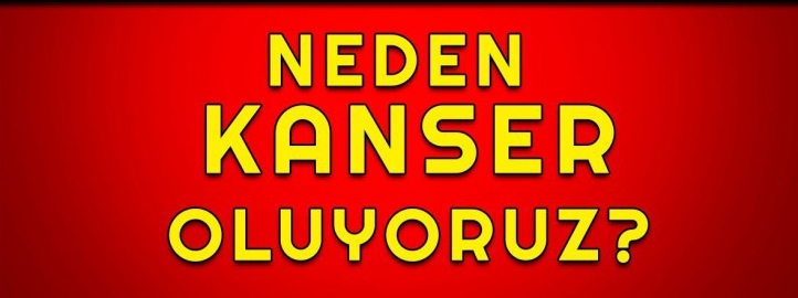 Neden kanser oluyoruz? Bu yazıyı mutlaka herkesle paylaşalım… hayatımıza galerisi resim 4