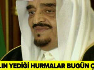 SUUDİ MÜSLÜMAN KRAL BAKIN NELER NELER YAPMIŞ!