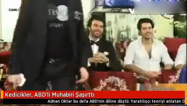 KEDİCİKLER ABD'Lİ MUHABİRİ ŞAŞIRTTI.. galerisi resim 2