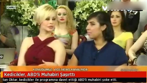 KEDİCİKLER ABD'Lİ MUHABİRİ ŞAŞIRTTI.. galerisi resim 5