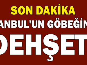 SON DAKİKA! İSTANBUL'UN GÖBEĞİNDE DEHŞET! ÖLDÜRÜLDÜ