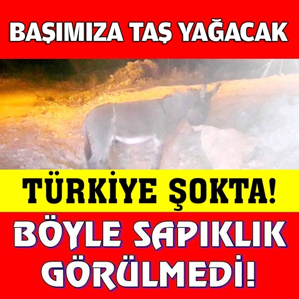 Böyle Sapıklık Görülmedi! galerisi resim 1