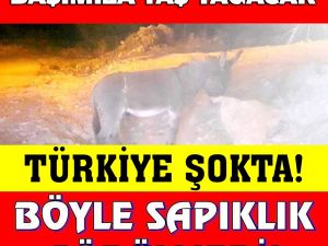 Böyle Sapıklık Görülmedi!