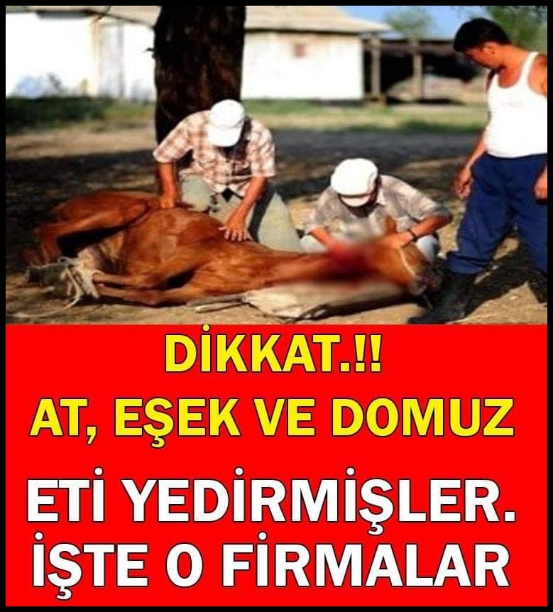 At,Eşek Ve Domuz Eti Yediren O Firmalar.. galerisi resim 1