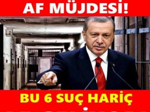 Erdoğan müjdeyi verdi! Bu 6 suçu işleyenler hariç, binlerce kişi tahliye