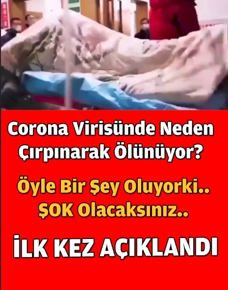 Koronavirüste merak edilen soru yanıt buldu! galerisi resim 1