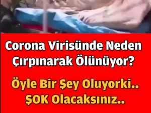 Koronavirüste merak edilen soru yanıt buldu!