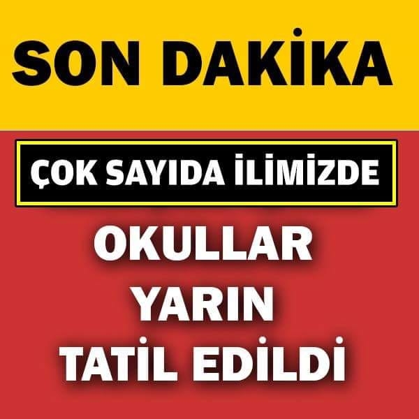 SON DAKİKA: OKULLAR YARIN TATİL EDİLDİ galerisi resim 1