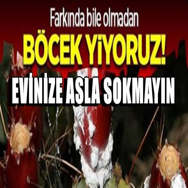 Ürün Etiketinde bu yazıyorsa eğer evinizden uzak tutun galerisi resim 1