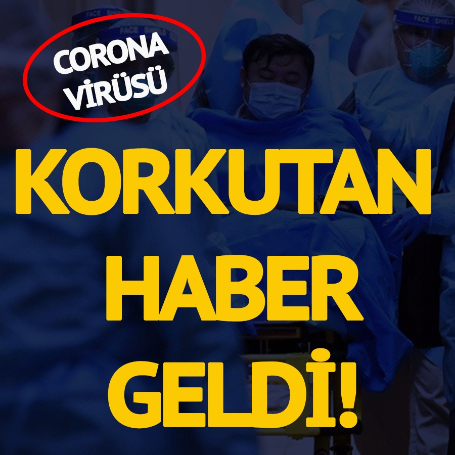 Çinli doktor açıkladı! Corona virüsünden korkutan haber… galerisi resim 1