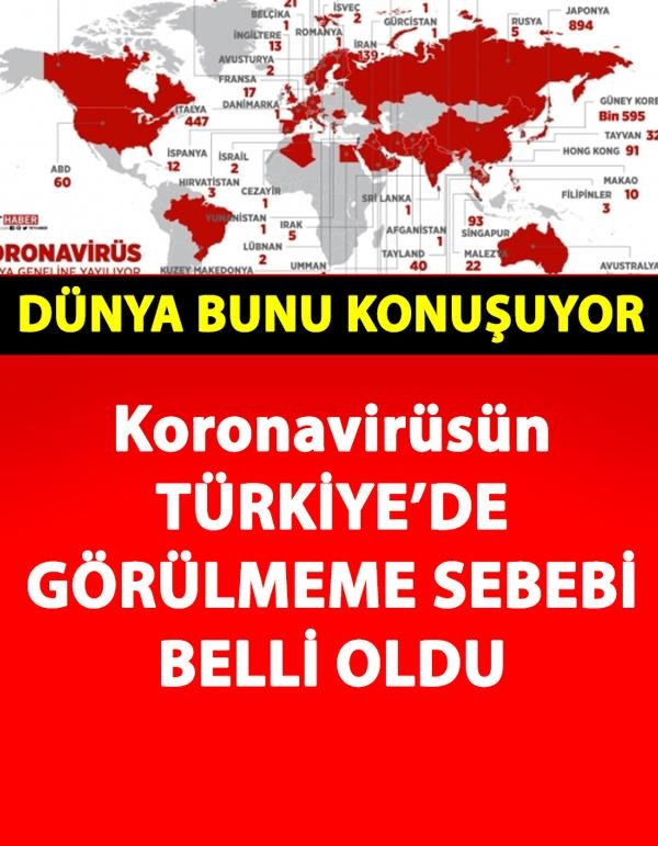 Koronavirüs'ün Türkiye'de Neden Görülmediği Belli Oldu galerisi resim 1