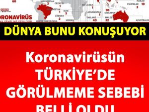 Koronavirüs'ün Türkiye'de Neden Görülmediği Belli Oldu