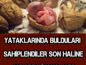 YATAKLARINDA BULDULAR! SAHİPLENDİLER SON HALİNE ONLARDA İNANAMADI