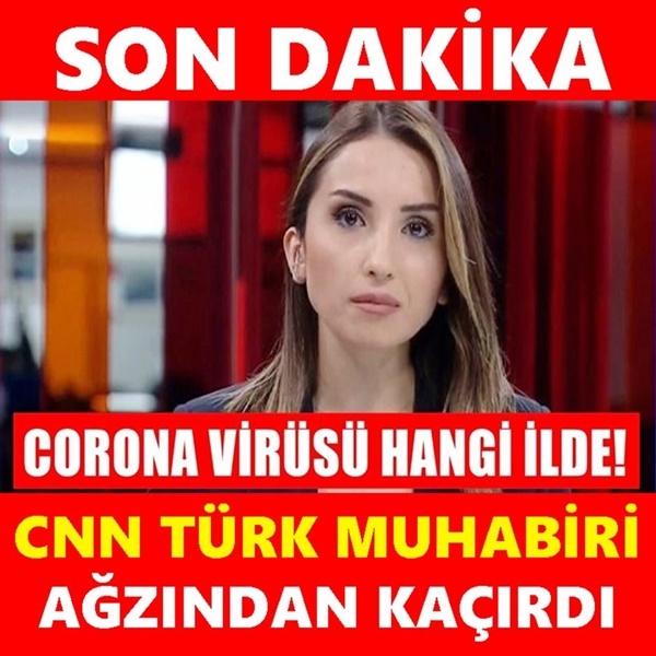 Corona virüsü hangi şehirde? Türkiye’de görülen ilk corona virüsü nerede galerisi resim 1